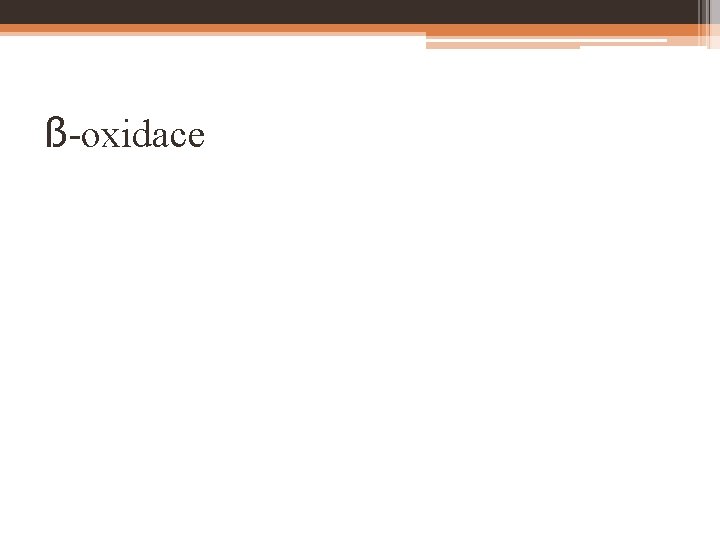 ß-oxidace 