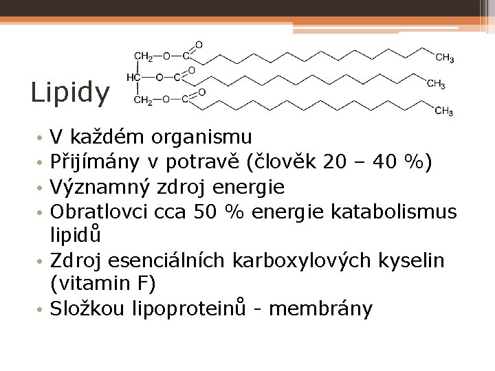 Lipidy V každém organismu Přijímány v potravě (člověk 20 – 40 %) Významný zdroj