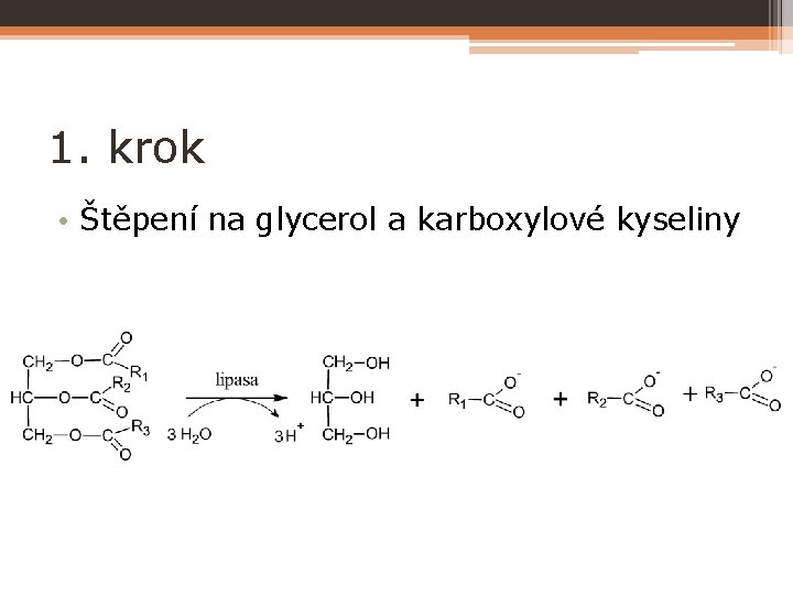 1. krok • Štěpení na glycerol a karboxylové kyseliny 