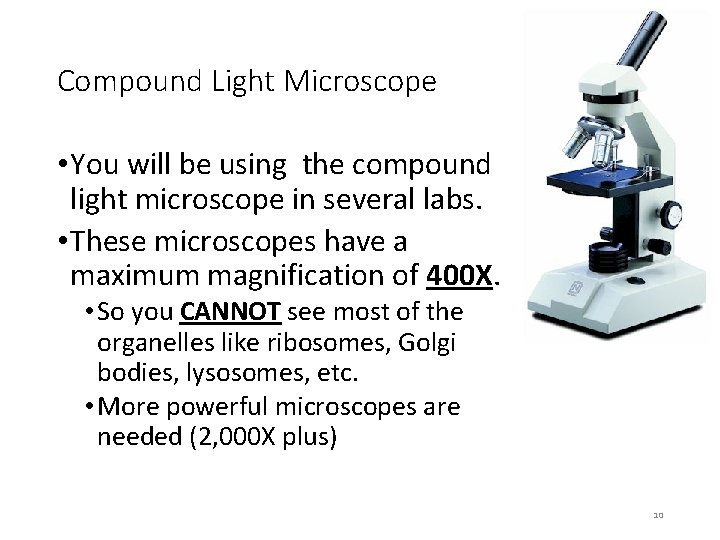 Compound Light Microscope • You will be using the compound light microscope in several