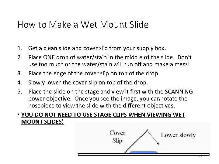 How to Make a Wet Mount Slide 1. Get a clean slide and cover