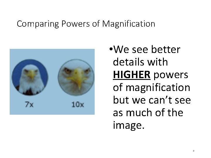 Comparing Powers of Magnification • We see better details with HIGHER powers of magnification