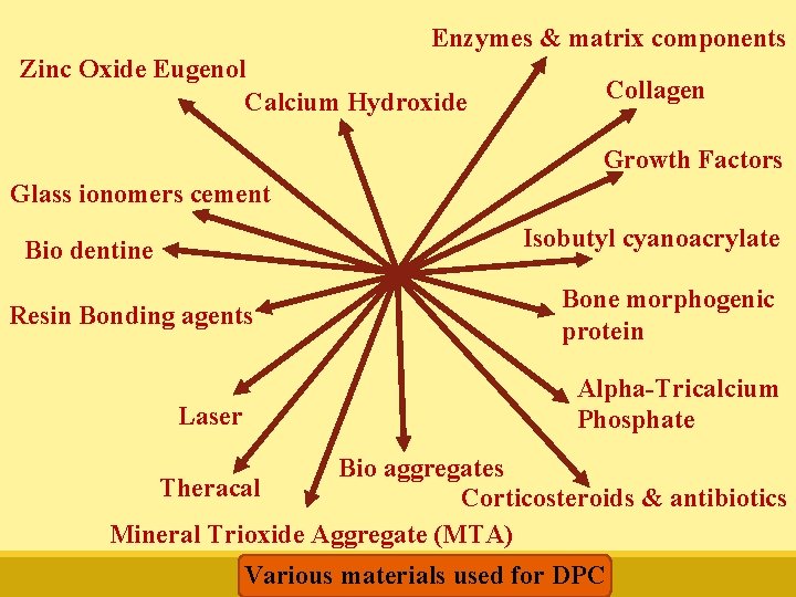 Enzymes & matrix components Zinc Oxide Eugenol Calcium Hydroxide Collagen Growth Factors Glass ionomers