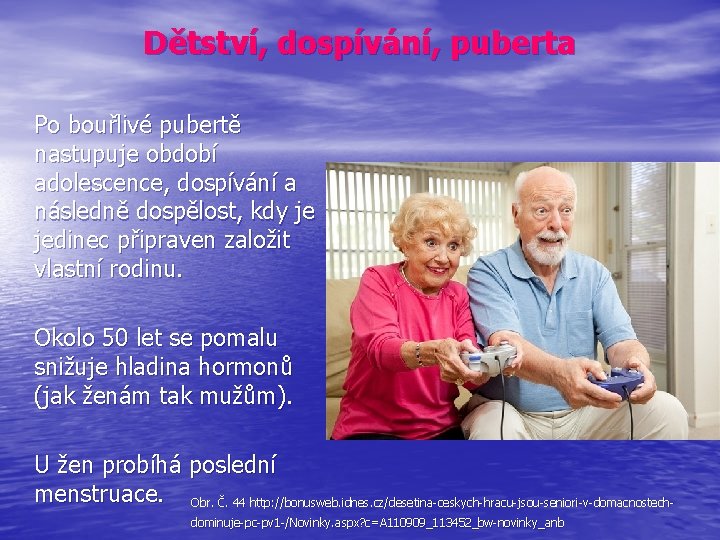 Dětství, dospívání, puberta Po bouřlivé pubertě nastupuje období adolescence, dospívání a následně dospělost, kdy