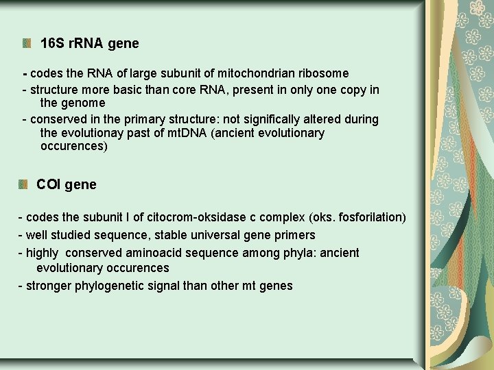 16 S r. RNA gene - codes the RNA of large subunit of mitochondrian