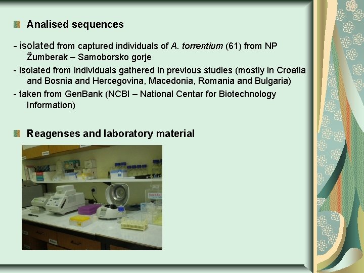Analised sequences - isolated from captured individuals of A. torrentium (61) from NP Žumberak