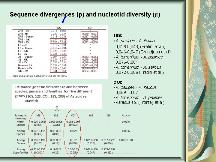 Sequence divergences (p) and nucleotid diversity ( ) 16 S: • A. pallipes -