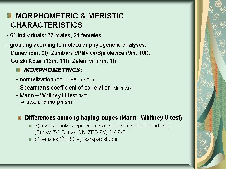 MORPHOMETRIC & MERISTIC CHARACTERISTICS - 61 individuals: 37 males, 24 females - grouping acording