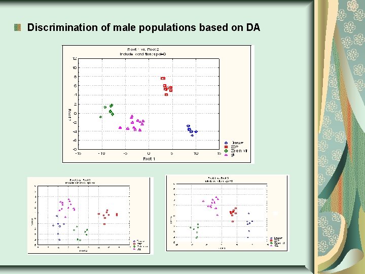 Discrimination of male populations based on DA 