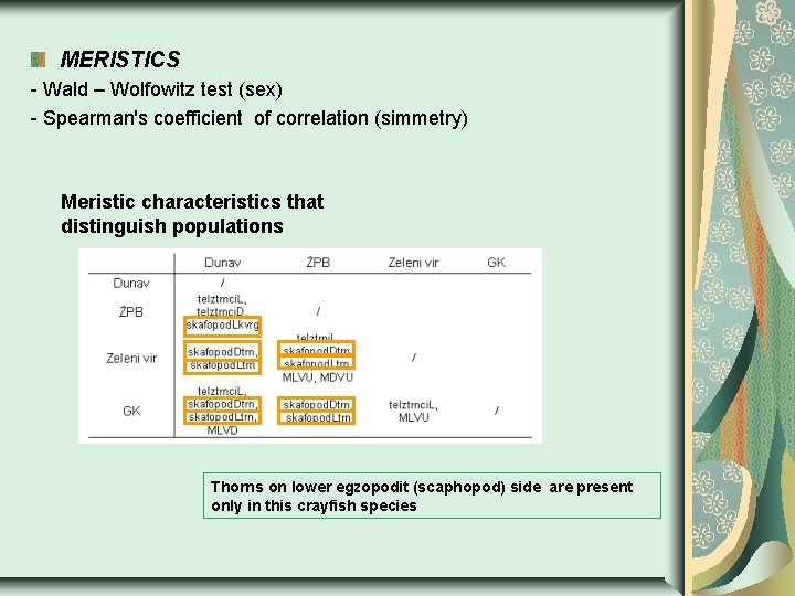 MERISTICS - Wald – Wolfowitz test (sex) - Spearman's coefficient of correlation (simmetry) Meristic