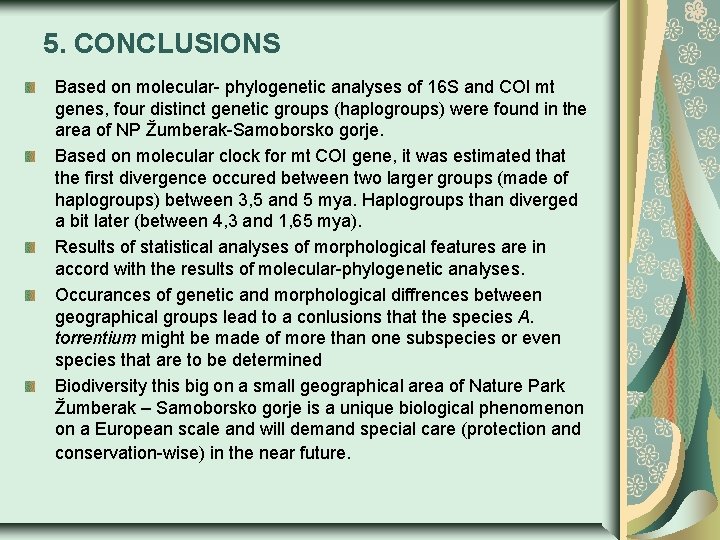 5. CONCLUSIONS Based on molecular- phylogenetic analyses of 16 S and COI mt genes,