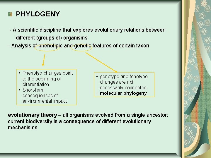 PHYLOGENY - A scientific discipline that explores evolutionary relations between different (groups of) organisms