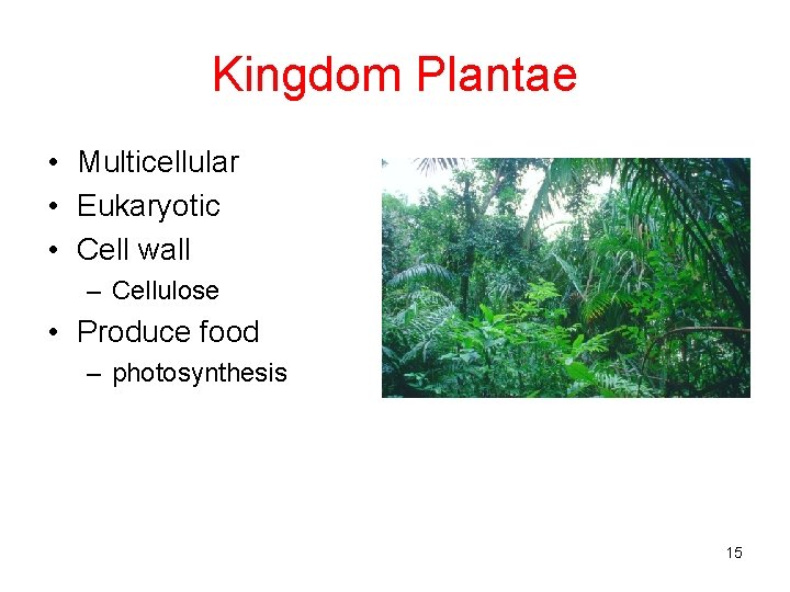 Kingdom Plantae • Multicellular • Eukaryotic • Cell wall – Cellulose • Produce food