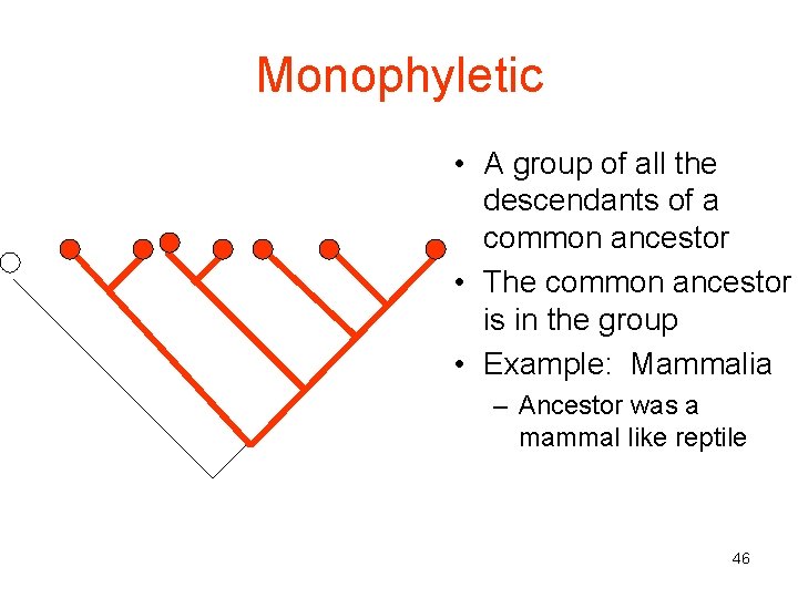 Monophyletic • A group of all the descendants of a common ancestor • The