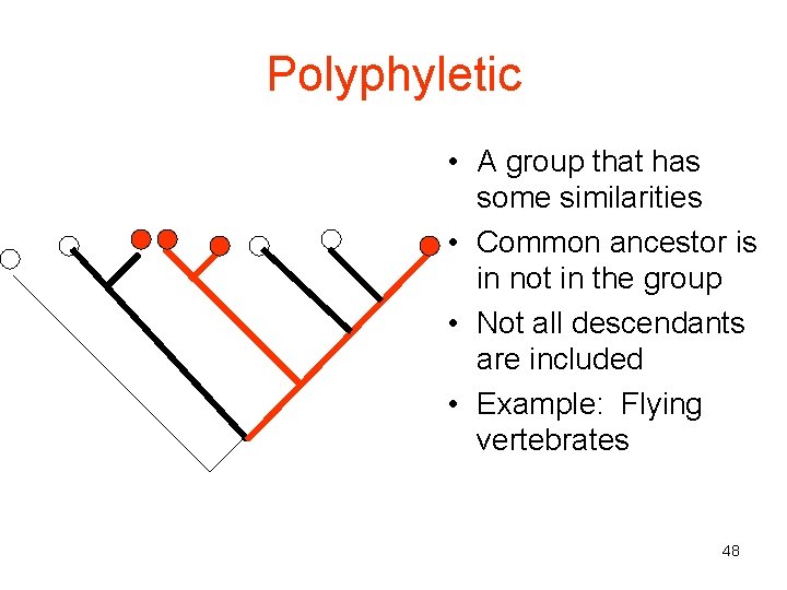 Polyphyletic • A group that has some similarities • Common ancestor is in not