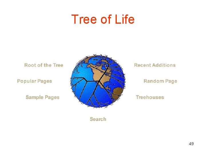 Tree of Life 49 