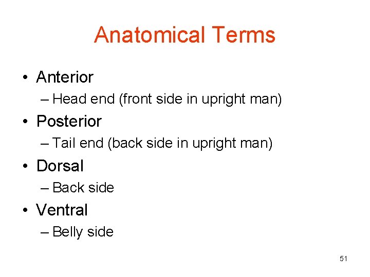 Anatomical Terms • Anterior – Head end (front side in upright man) • Posterior