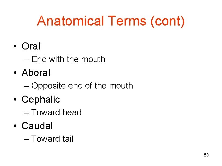 Anatomical Terms (cont) • Oral – End with the mouth • Aboral – Opposite