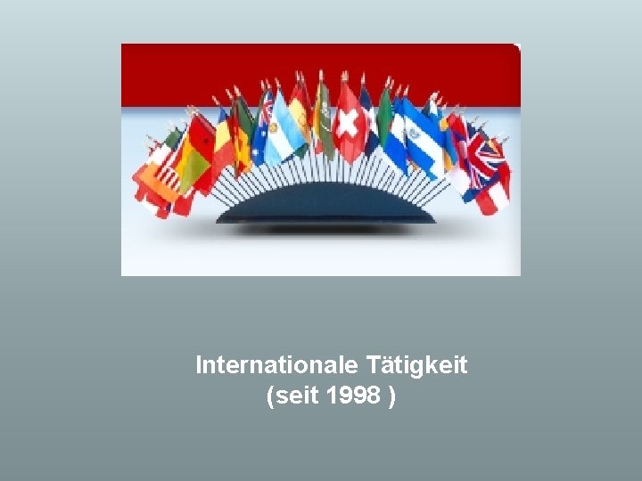 Internationale Tätigkeit (seit 1998 ) 