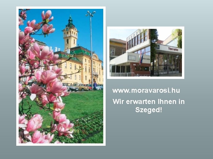 www. moravarosi. hu Wir erwarten Ihnen in Szeged! 