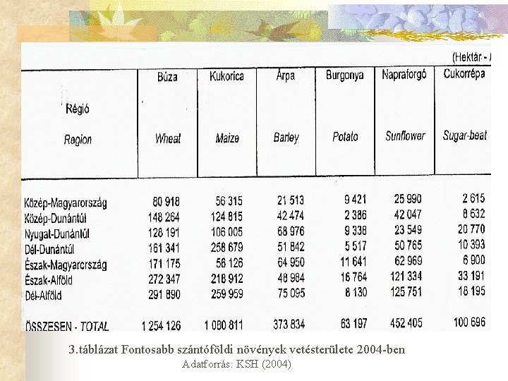 I. Szántóföldi növ. term 3. táblázat Fontosabb szántóföldi növények vetésterülete 2004 -ben Adatforrás: KSH