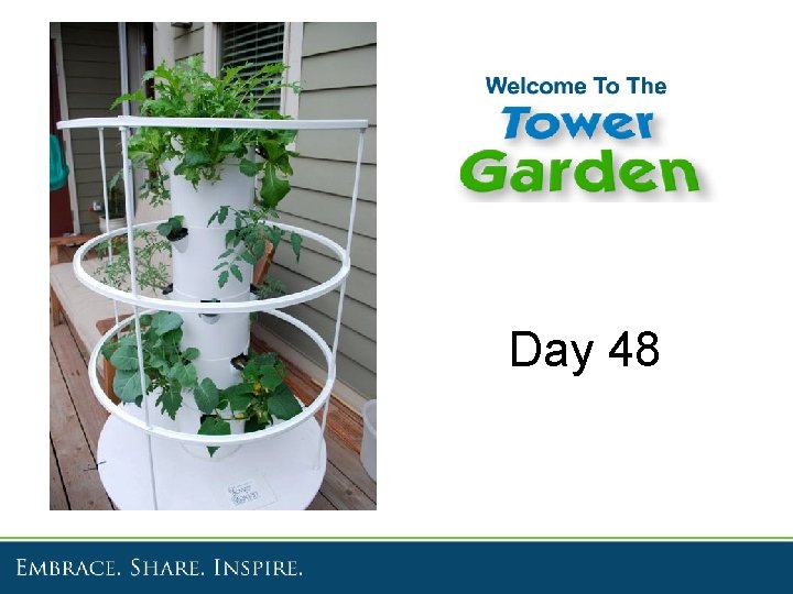 Day 48 