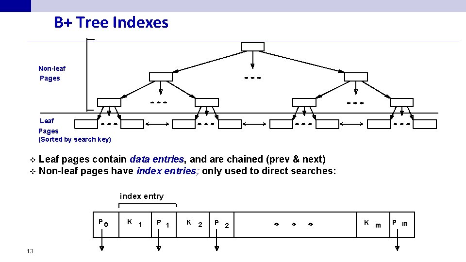 B+ Tree Indexes Non-leaf Pages Leaf Pages (Sorted by search key) Leaf pages contain