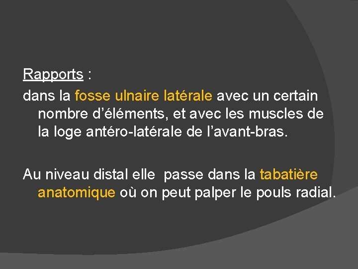 Rapports : dans la fosse ulnaire latérale avec un certain nombre d’éléments, et avec