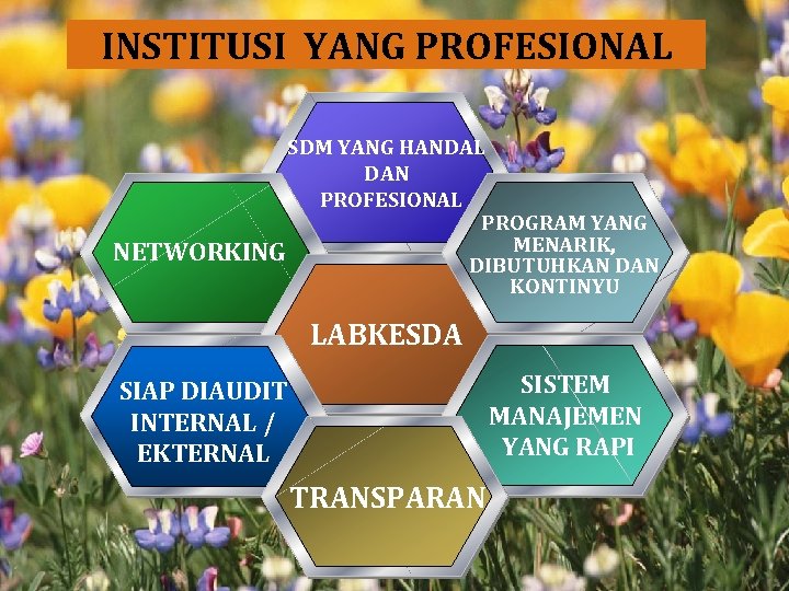 INSTITUSI YANG PROFESIONAL SDM YANG HANDAL DAN PROFESIONAL PROGRAM YANG MENARIK, NETWORKING DIBUTUHKAN DAN