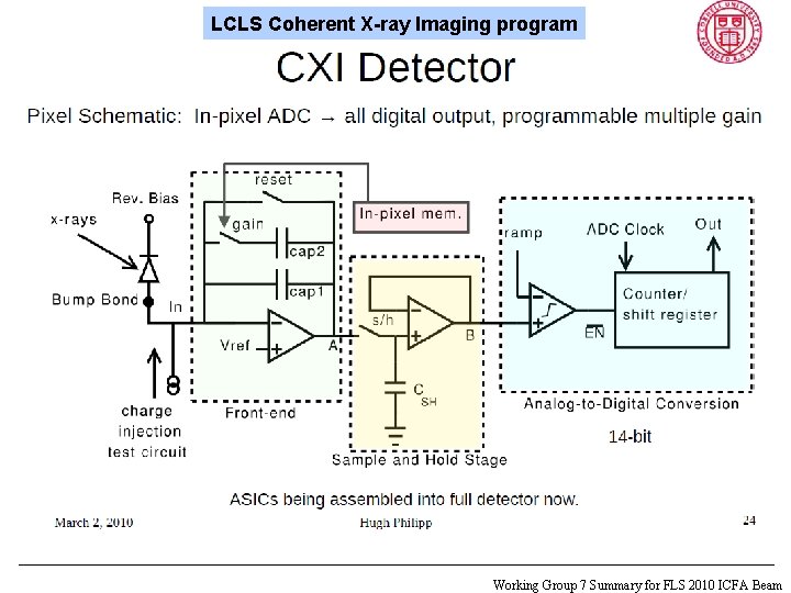 LCLS Coherent X-ray Imaging program Pad Detector Working Group 7 Summary for FLS 2010