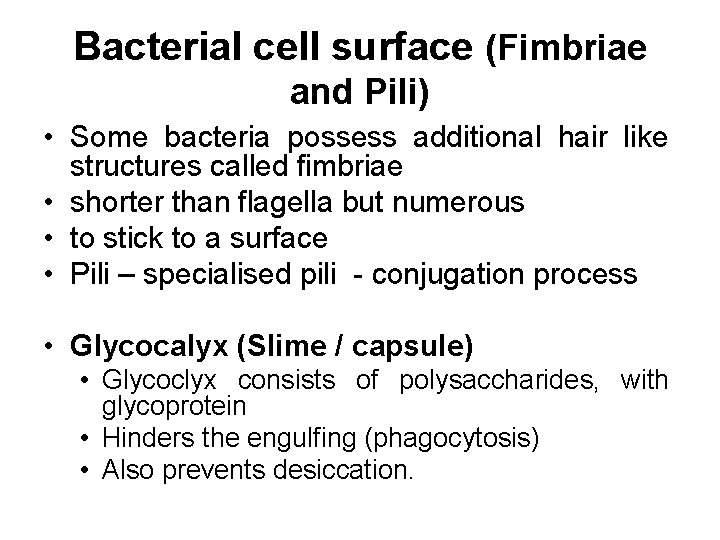 Bacterial cell surface (Fimbriae and Pili) • Some bacteria possess additional hair like structures