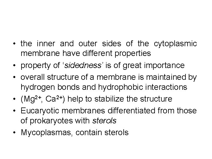  • the inner and outer sides of the cytoplasmic membrane have different properties