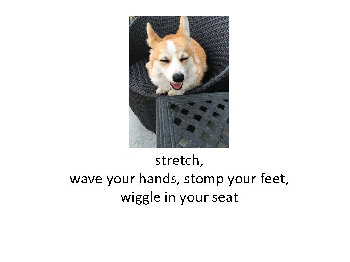 stretch, wave your hands, stomp your feet, wiggle in your seat 