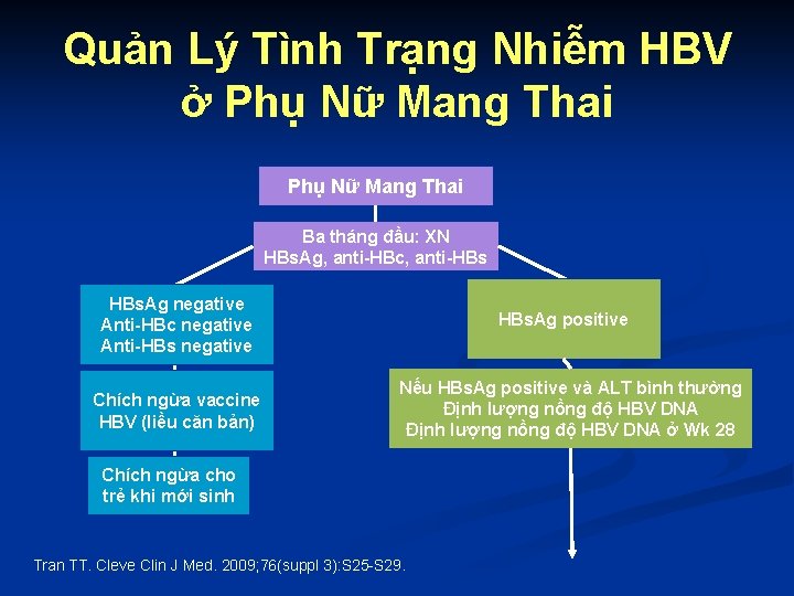 Quản Lý Tình Trạng Nhiễm HBV ở Phụ Nữ Mang Thai Ba tháng đầu: