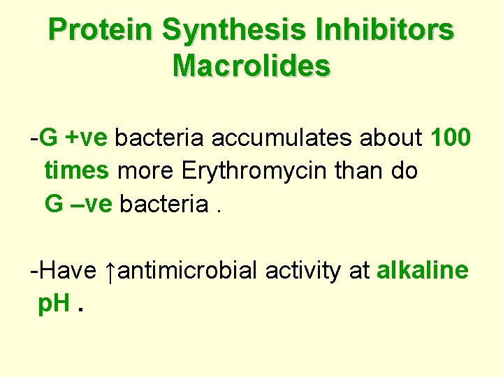 Protein Synthesis Inhibitors Macrolides -G +ve bacteria accumulates about 100 times more Erythromycin than