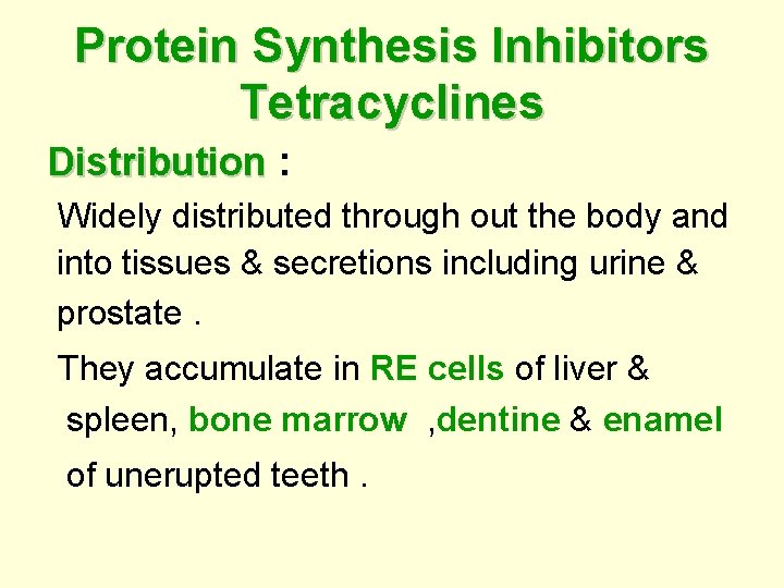 Protein Synthesis Inhibitors Tetracyclines Distribution : Widely distributed through out the body and into