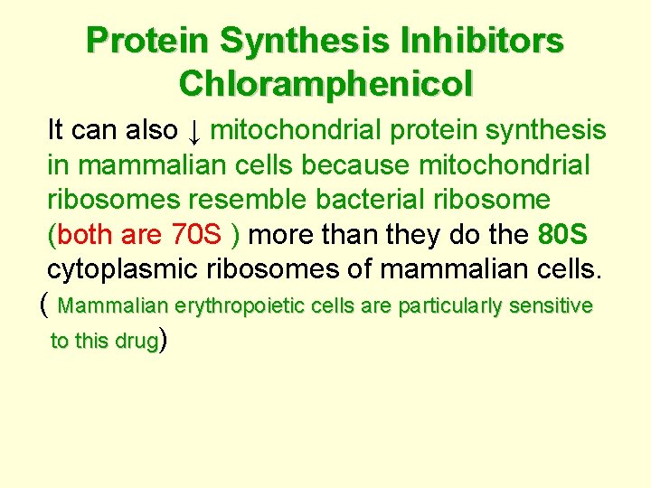 Protein Synthesis Inhibitors Chloramphenicol It can also ↓ mitochondrial protein synthesis in mammalian cells