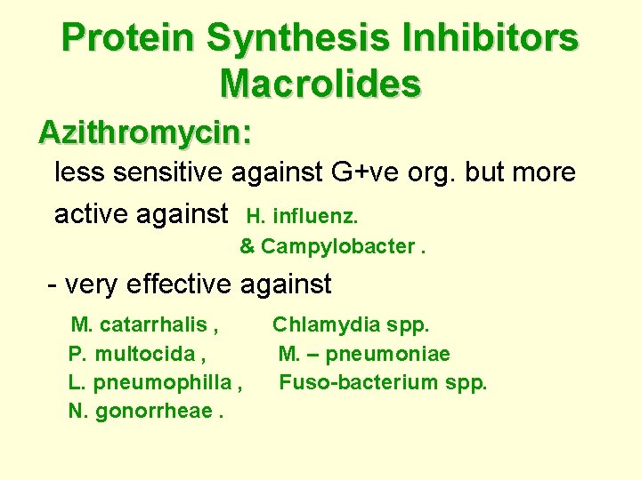 Protein Synthesis Inhibitors Macrolides Azithromycin: less sensitive against G+ve org. but more active against