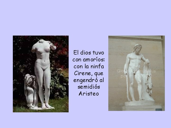  • El dios tuvo con amoríos: con la ninfa Cirene, que engendró al
