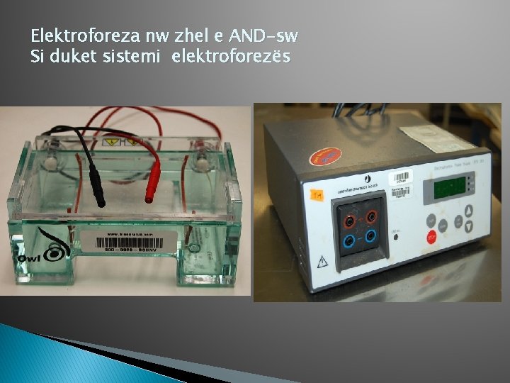 Elektroforeza nw zhel e AND-sw Si duket sistemi elektroforezёs 