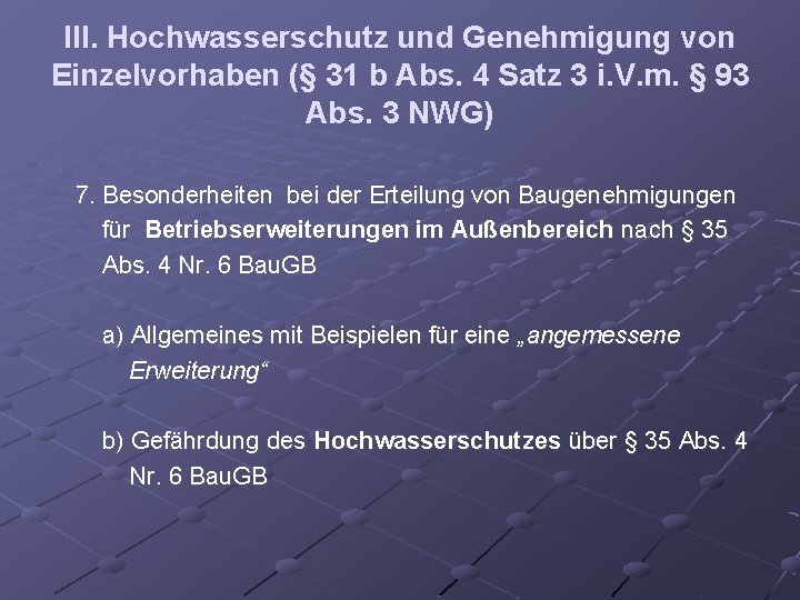III. Hochwasserschutz und Genehmigung von Einzelvorhaben (§ 31 b Abs. 4 Satz 3 i.