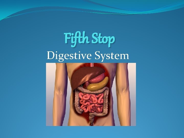 Fifth Stop Digestive System 