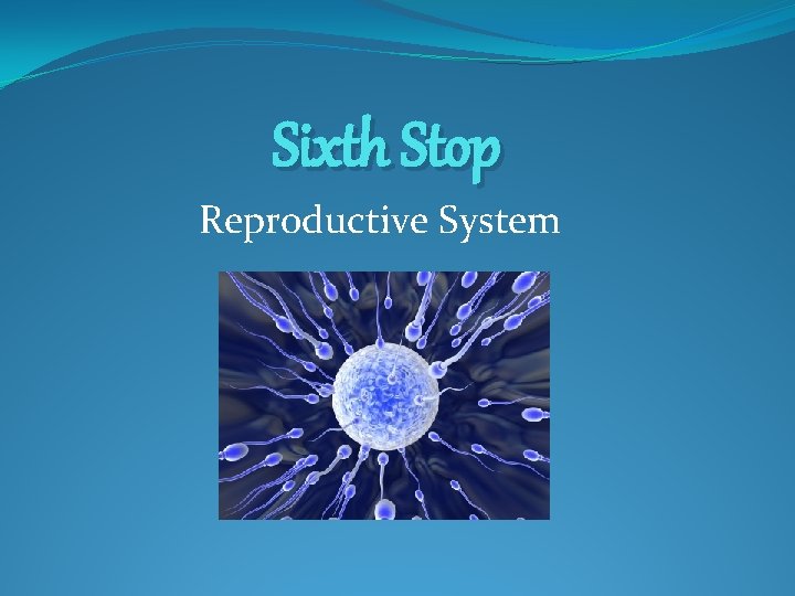 Sixth Stop Reproductive System 