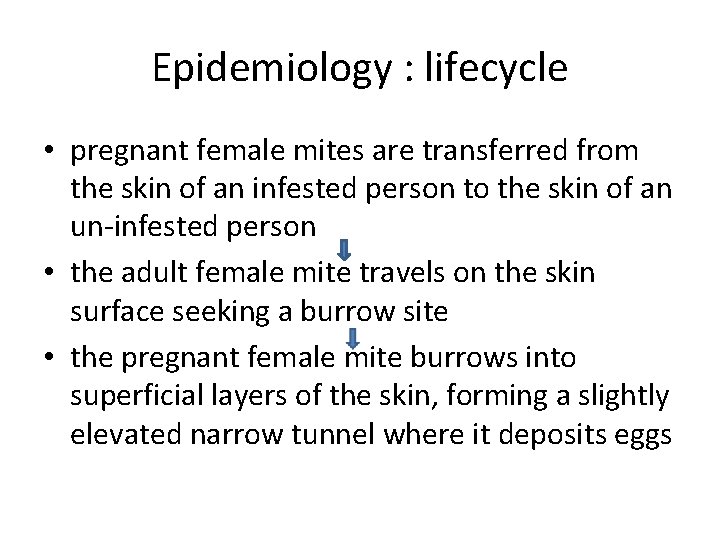 Epidemiology : lifecycle • pregnant female mites are transferred from the skin of an