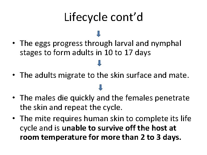 Lifecycle cont’d • The eggs progress through larval and nymphal stages to form adults