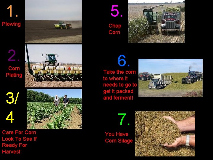 1. 5. Plowing Chop Corn 2. Corn Plating 3/ 4 Care For Corn Look