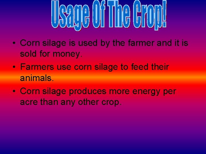  • Corn silage is used by the farmer and it is sold for