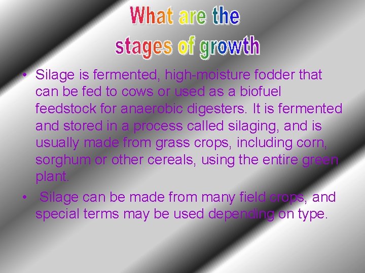  • Silage is fermented, high-moisture fodder that can be fed to cows or