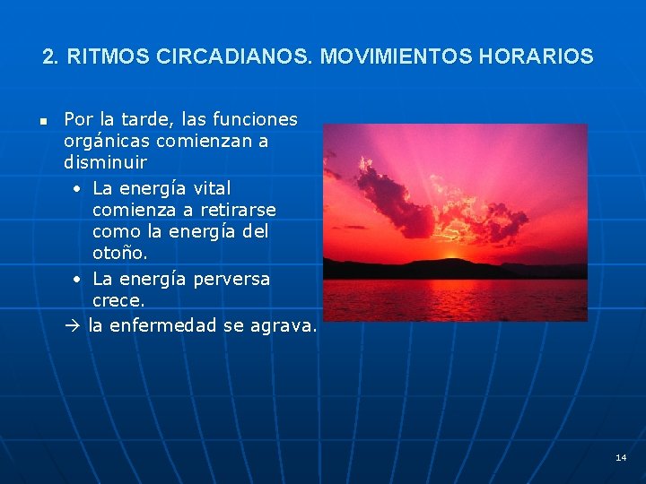 2. RITMOS CIRCADIANOS. MOVIMIENTOS HORARIOS n Por la tarde, las funciones orgánicas comienzan a