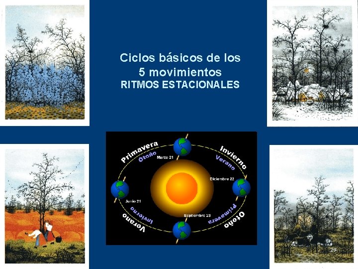 Ciclos básicos de los 5 movimientos RITMOS ESTACIONALES 29 